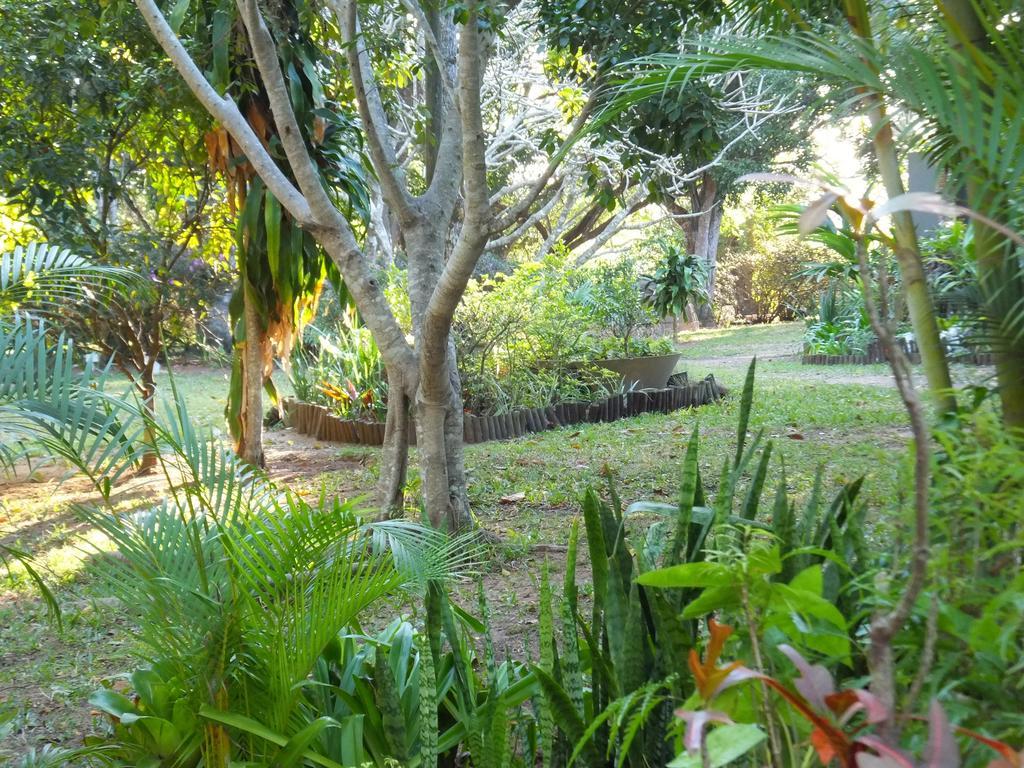 St Lucia Kingfisher Lodge Exterior foto